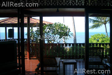 Coconut Paradise 19